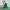 Roblox Animal Hospital — Green Slime Frog! 🐸💚