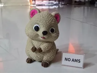 Quokka – No AMS