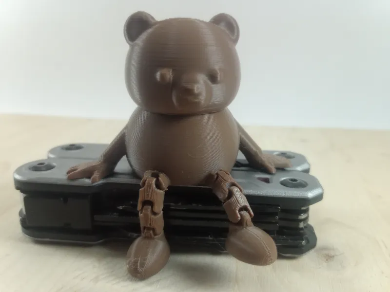 Bear Buddy