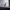 brown-dodo-bird-charming-extinct-creature-model_files