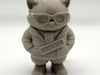 Cool Winter Kitten