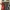 Speed Champions Lego F1 support mural vertical