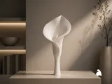 White Calla-0