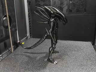 Alien Xenomorph S