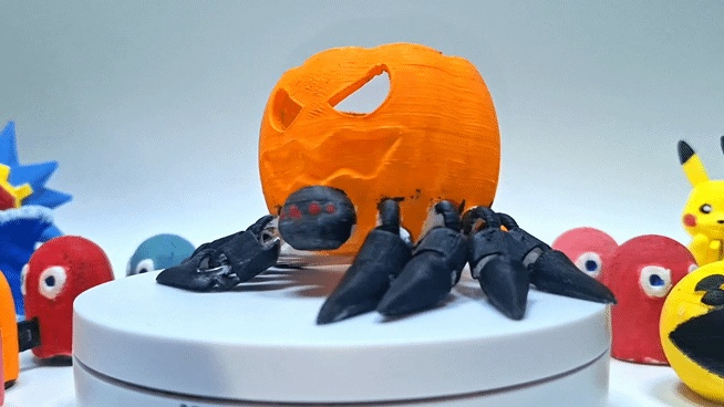 Ragno Zucca (Halloween)