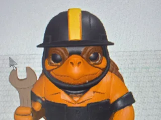 Turtle with hardhat