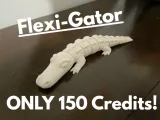 Flexi-Gator-0