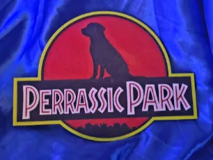 Parque canino Perro