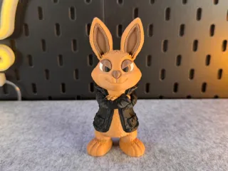 Cool Bunny