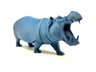 Hippo