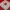 Sliding Game Valentine No CFS – Valentine's Day Sliding Puzzle