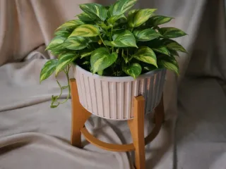 Scandi Stand Planter