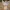 Angel lamp