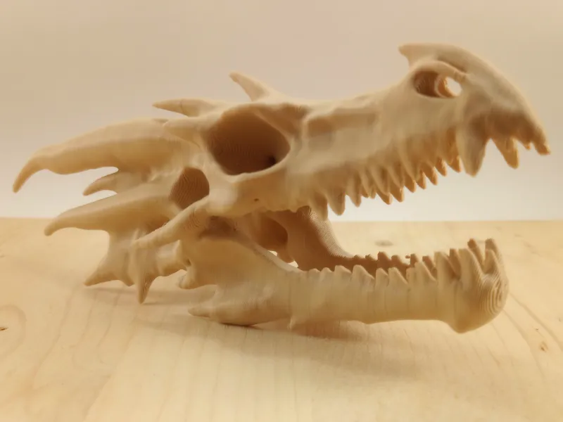 Dragon Skull