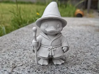 Wizard Quackers