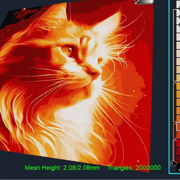 Interesting cat portrait