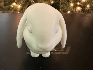 Lop Ear