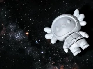 ASTRONAUTA-JOLOTE