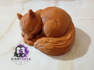 🐿️💤Cute Sleeping Squirrel 💤🐿️