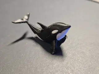 Orca