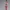 Waifu Fan art Figurine Videl