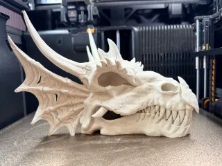Dragon SKULL