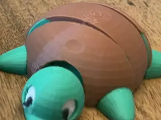 Articulated Baby Turtle