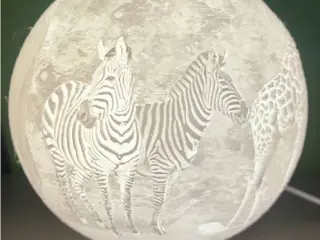 Animals lithophane