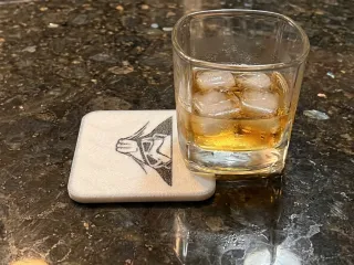 Coaster StormTropper_holita