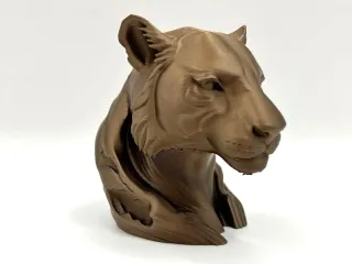 tiger