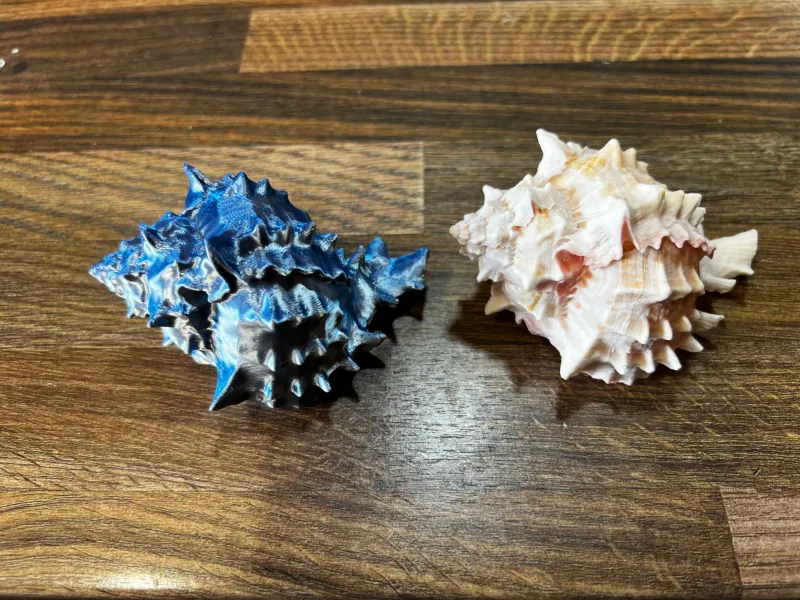 shell 1