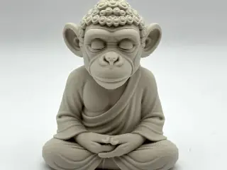 Zen Chimp
