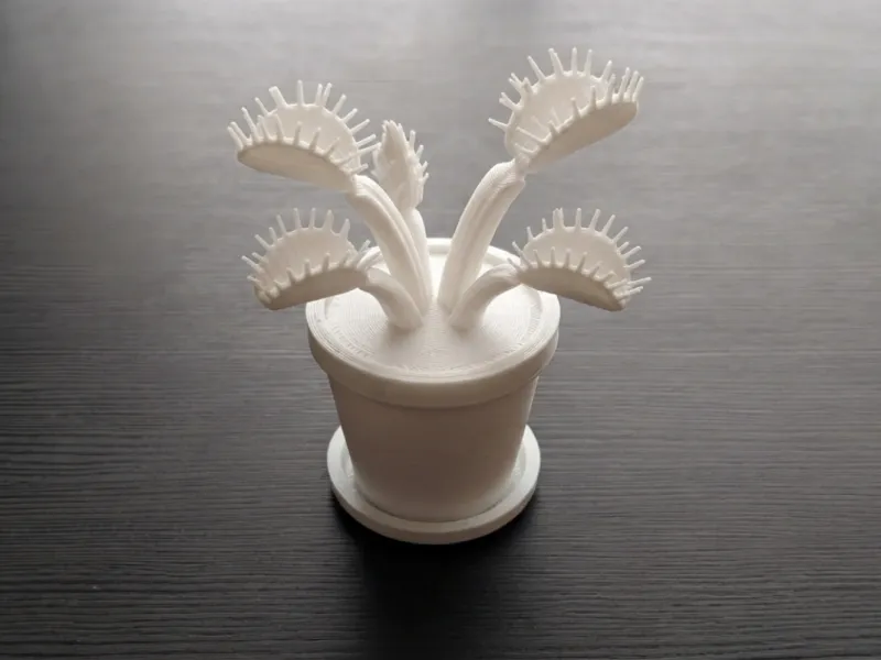 Venusfliegenfalle