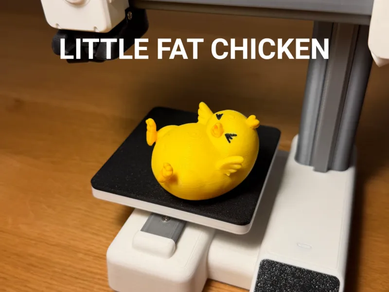 Little Fat Chicken