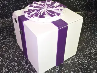 Surprise Spider Prank Box
