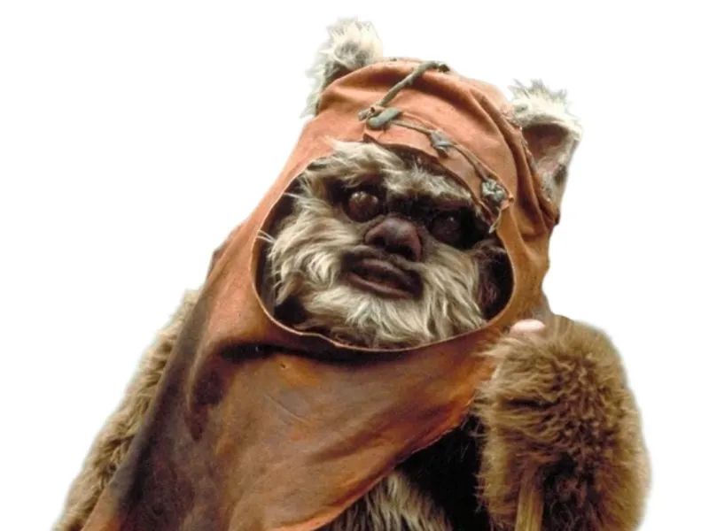 CubeMe Ewok