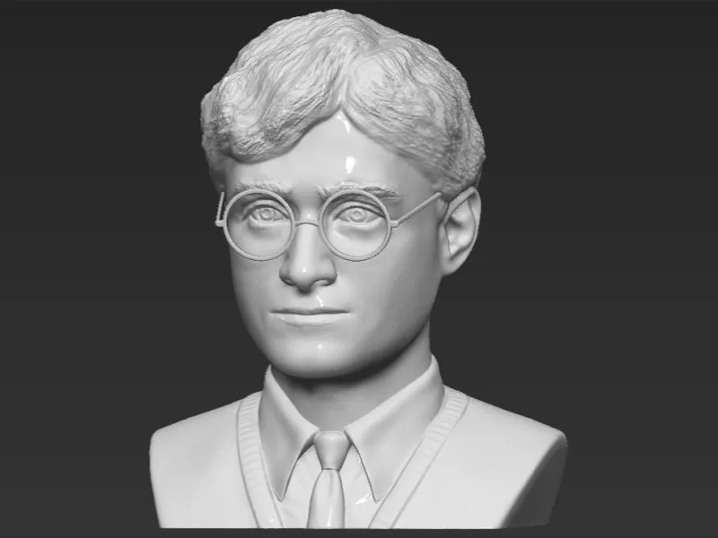 Harry Potter Bust