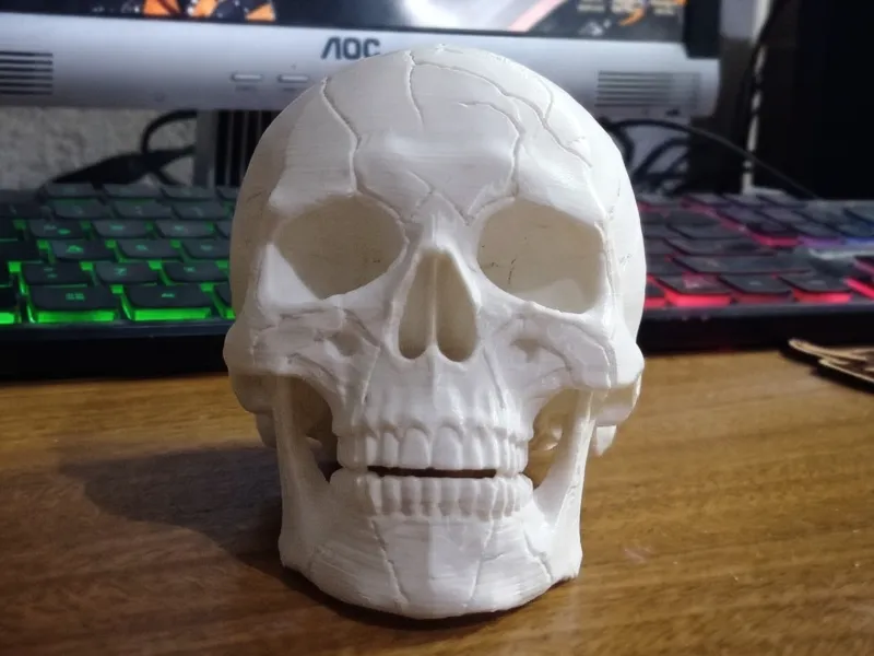 ANATOMISCHE SCHEDELS