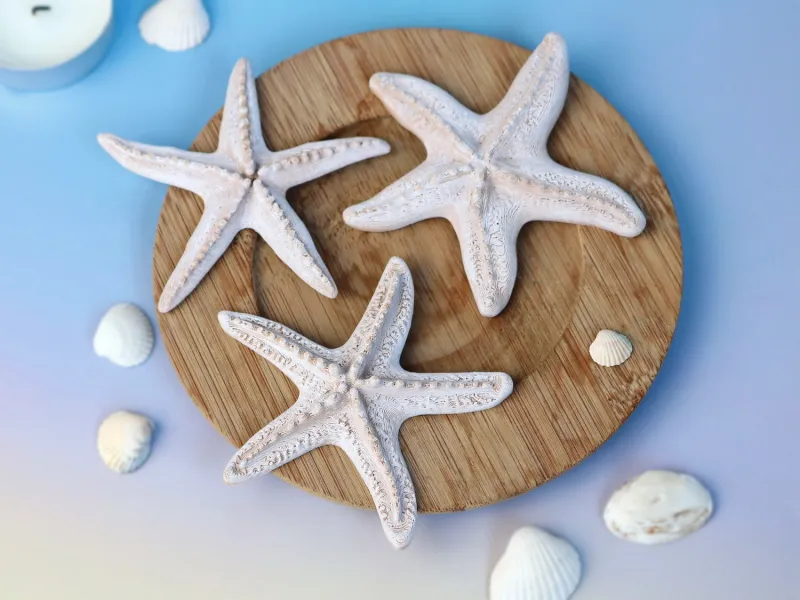Conjunto de decoración de estrellas de mar