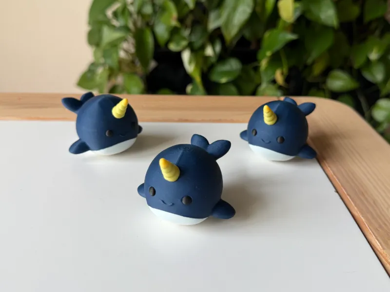 Narwhal