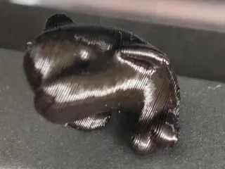 The Pocket Dolphin Mini