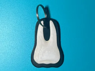 Human Tooth Keyring
