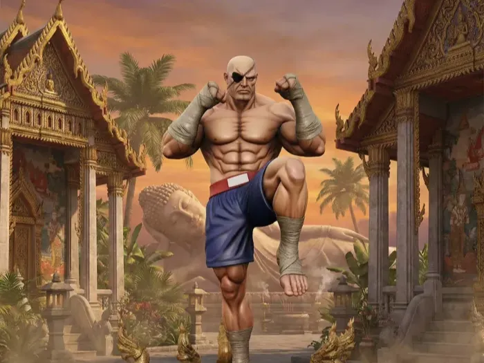 Sagat