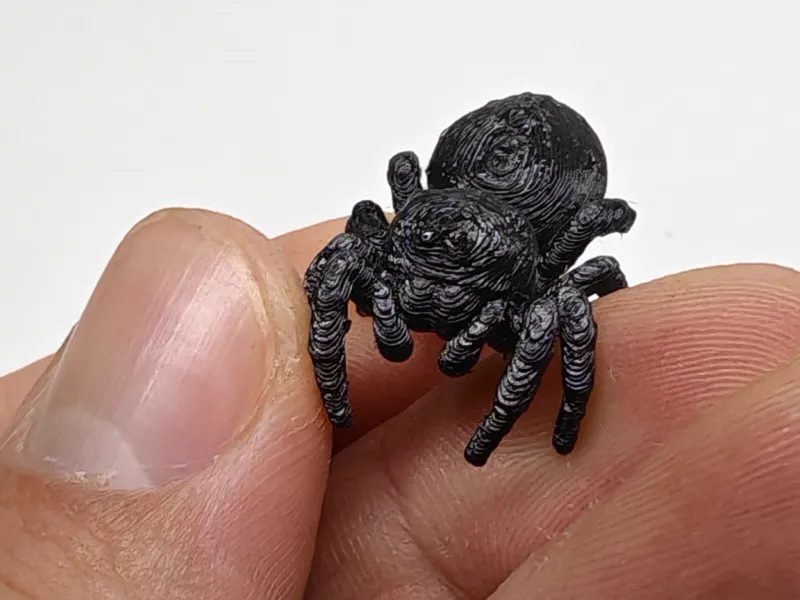 Jumping Spider – Perfect for Halloween Decor