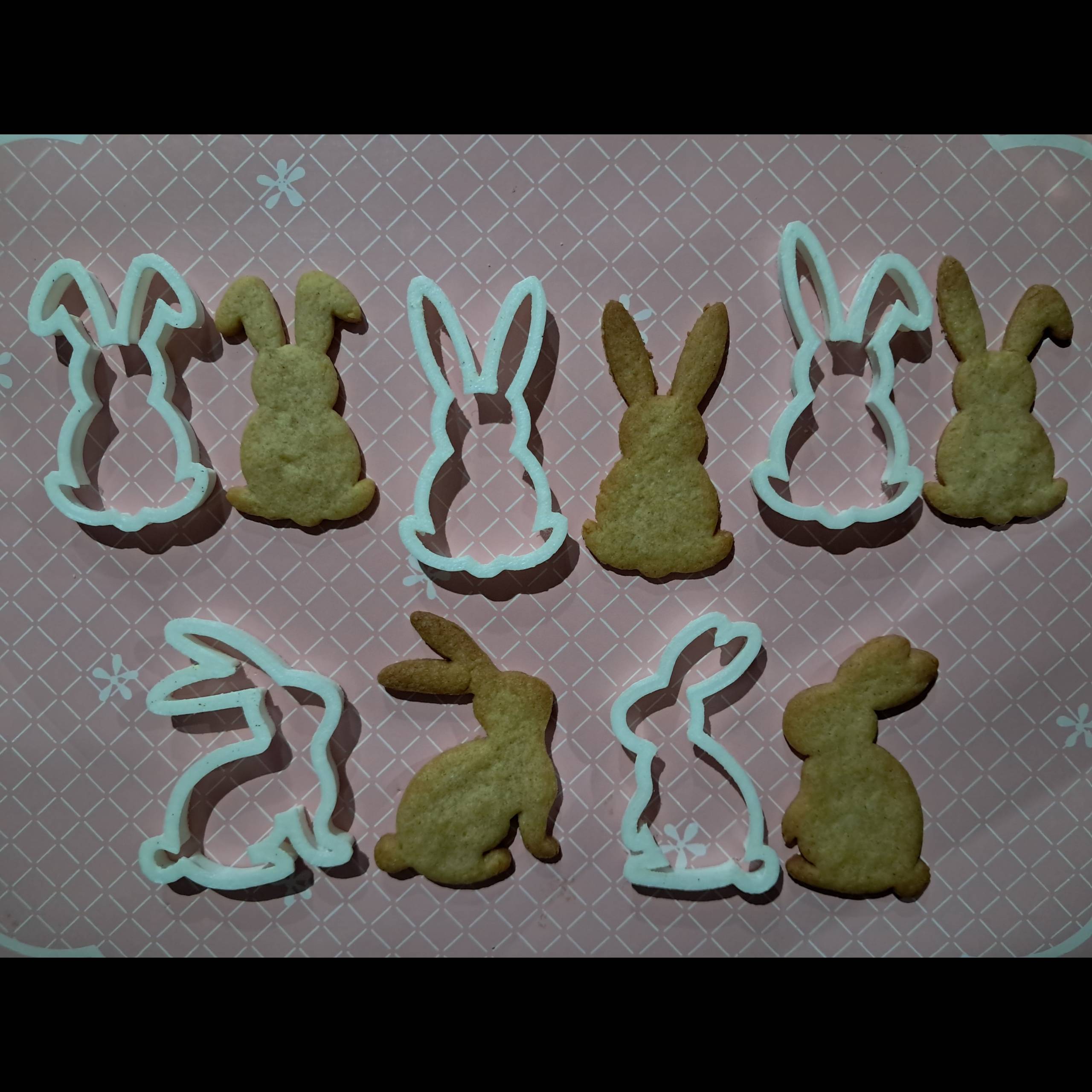 Bunny Cookie Cutter (Set of 5)