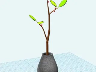 绿色小盆栽
