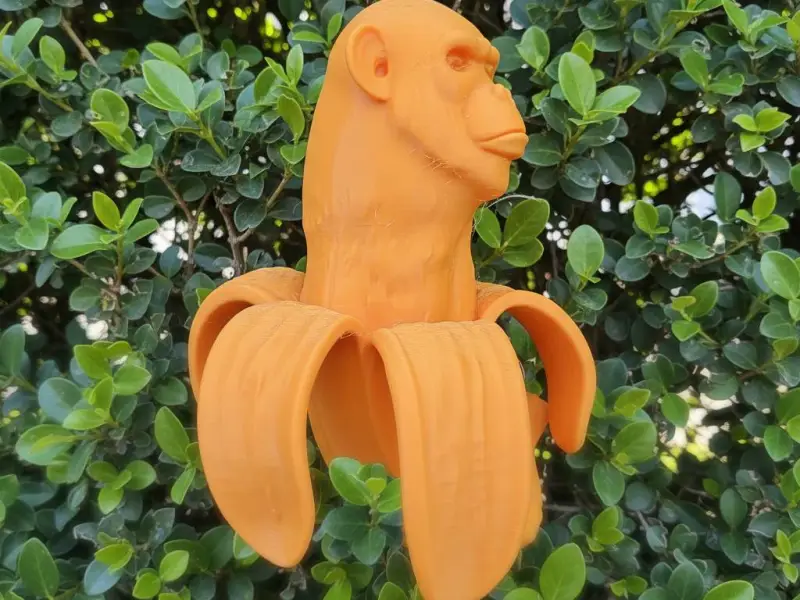 scolpito da un artista italiano | banana brainrot italiana