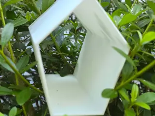 Pet Tunnel