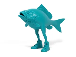 Funny fish
