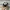 FIFA_2026_Caja_Stickers -figuurtjes